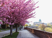 főváros közeli szállás budapest közeli szállás